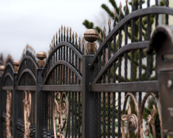 Wrought Iron Gate